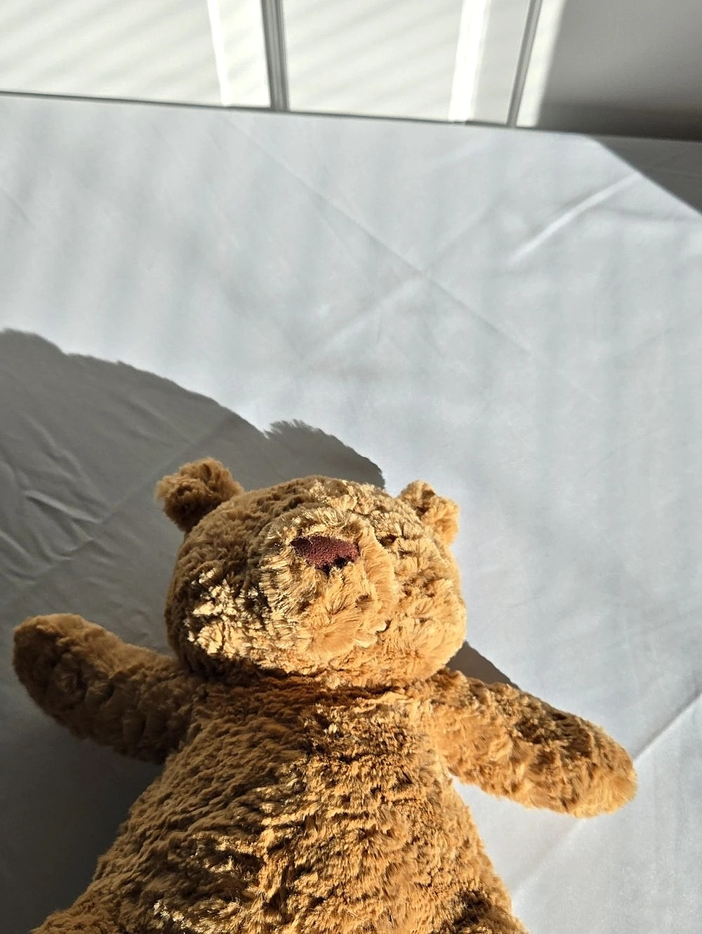 Jellycat Edward Bear Plush Brown NWT - Picture 2 of 8